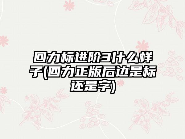 回力标进阶3什么样子(回力正版后边是标还是字)