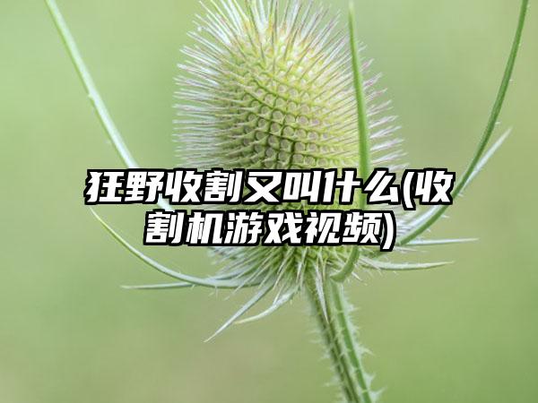 狂野收割又叫什么(收割机游戏视频)