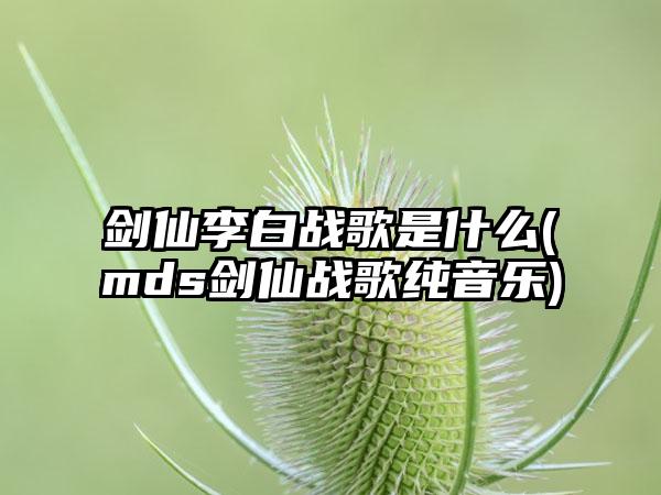 剑仙李白战歌是什么(mds剑仙战歌纯音乐)