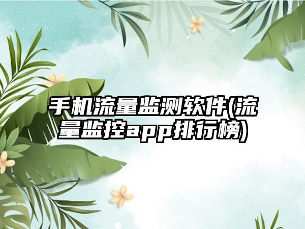 手机流量监测软件(流量监控app排行榜)