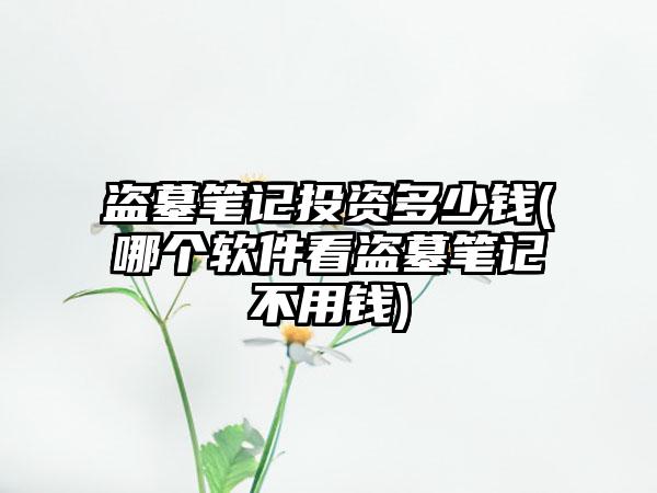 盗墓笔记投资多少钱(哪个软件看盗墓笔记不用钱)