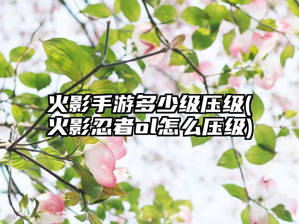 火影手游多少级压级(火影忍者ol怎么压级)