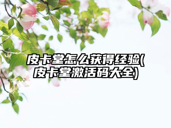 皮卡堂怎么获得经验(皮卡堂激活码大全)