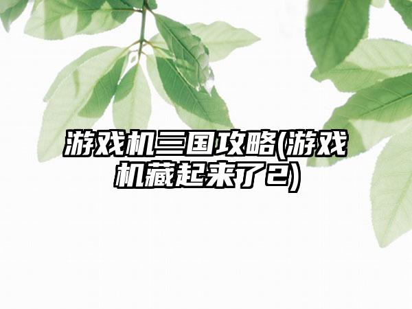 游戏机三国攻略(游戏机藏起来了2)