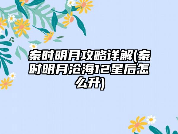 秦时明月攻略详解(秦时明月沧海12星后怎么升)