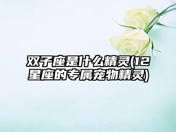 双子座是什么精灵(12星座的专属宠物精灵)