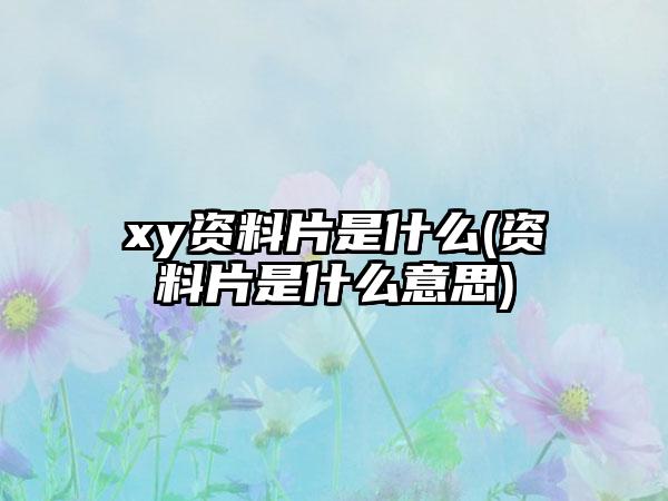 xy资料片是什么(资料片是什么意思)