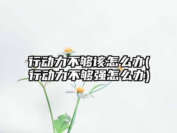 行动力不够该怎么办(行动力不够强怎么办)