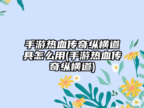 手游热血传奇纵横道具怎么用(手游热血传奇纵横道)