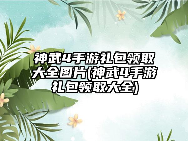 神武4手游礼包领取大全图片(神武4手游礼包领取大全)