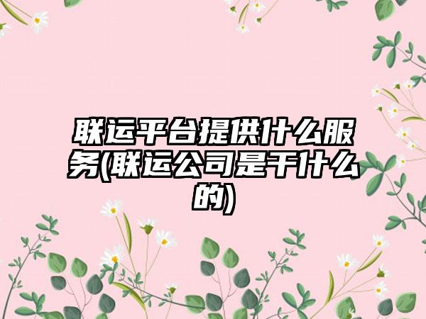 联运平台提供什么服务(联运公司是干什么的)