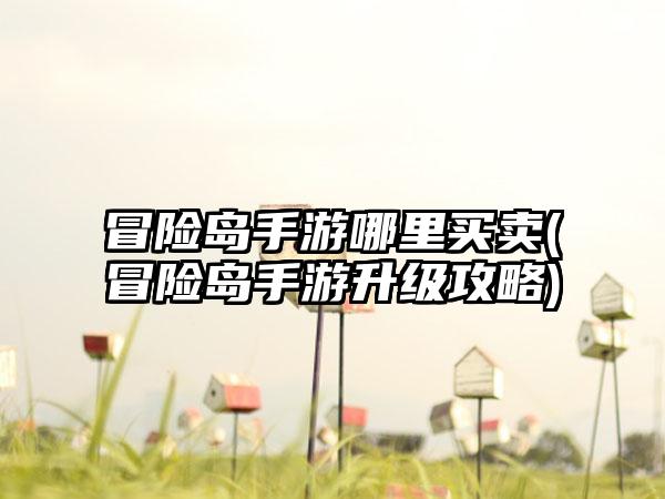 冒险岛手游哪里买卖(冒险岛手游升级攻略)