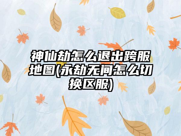 神仙劫怎么退出跨服地图(永劫无间怎么切换区服)