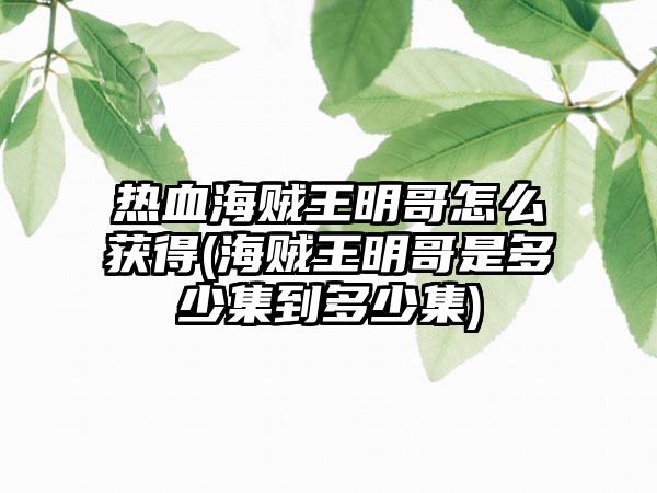 热血海贼王明哥怎么获得(海贼王明哥是多少集到多少集)