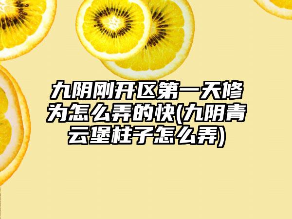 九阴刚开区第一天修为怎么弄的快(九阴青云堡柱子怎么弄)