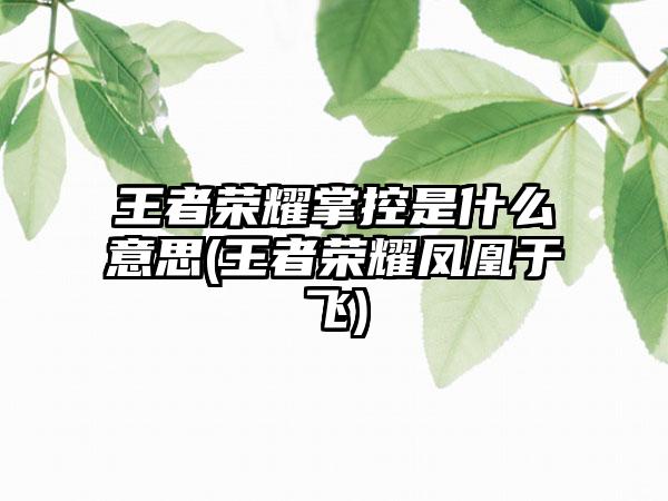 王者荣耀掌控是什么意思(王者荣耀凤凰于飞)